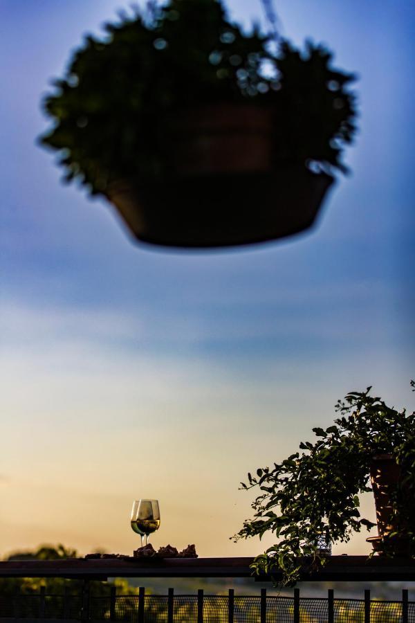 B&B Al Chicco D'Uva Morro dʼAlba エクステリア 写真