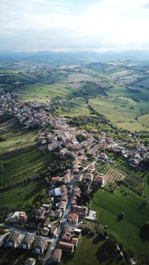 B&B Al Chicco D'Uva Morro dʼAlba エクステリア 写真