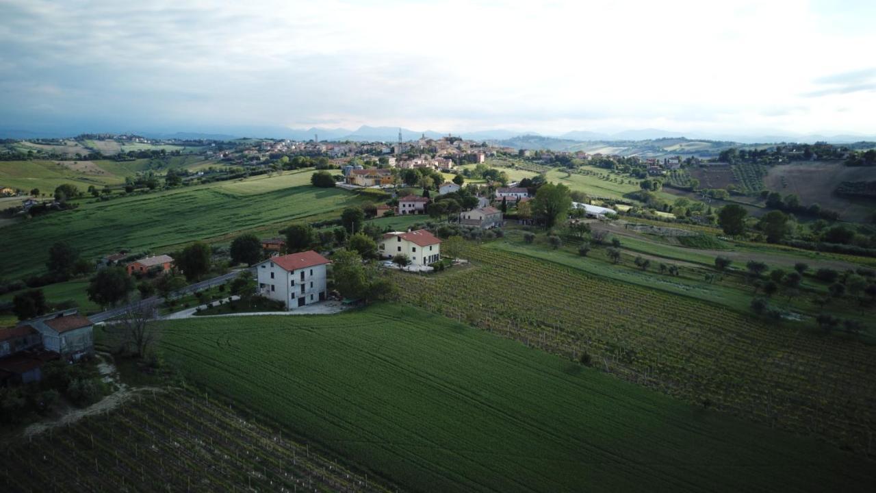 B&B Al Chicco D'Uva Morro dʼAlba エクステリア 写真